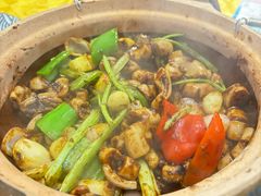 -天宝食坊·啫啫煲大排档(西华路店)