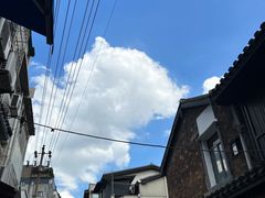 -养心阁足道馆(火宫殿一店)
