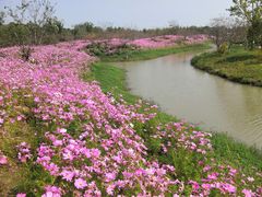 -花开海上生态园