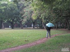 -中山大学学者灵芝(园南路店)