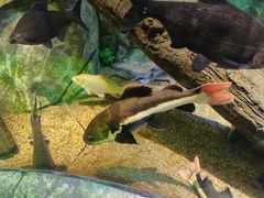 -沈阳海洋探索中心