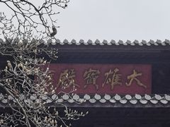 -灵谷景区