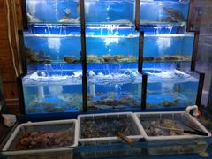 水产区-老东镇啤酒屋海鲜加工·蒸汽海鲜·海鲜烧烤(台东店)