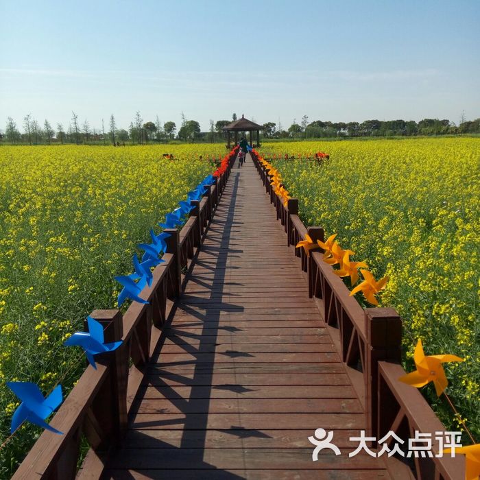 乡根东林渡