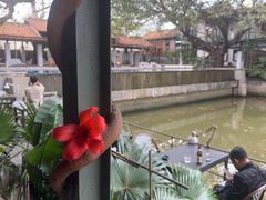 -喜洲吧·江畔老船厂·庭院餐厅(喜临院店)