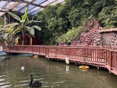 -呀路古热带植物园