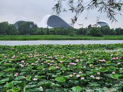 -哈尔滨大剧院