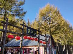 -塞罕坝国家级自然保护区