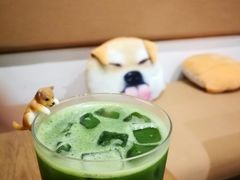 -柴务处·柴犬主题狗咖