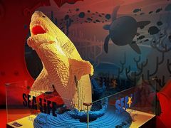 -沈阳海洋探索中心