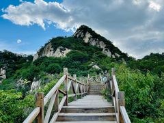 -大岭沟猕猴桃谷风景区