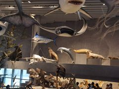 -国家自然博物馆