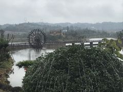 -枫香湖儿童公园