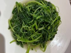 -席家花园(巨鹿花园店)