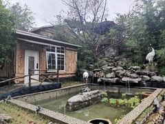 -丽泽山庄·生态怀柔菜·虹鳟鱼(红螺寺店)