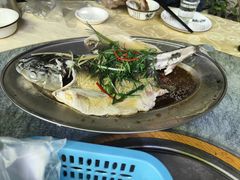 -南沙辉记烧鸡·荔枝木炭火吊烧(旧镇店)