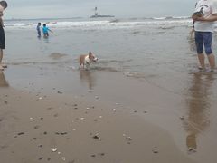 -老虎石海上公园