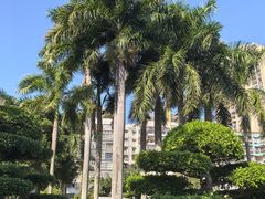 -石炮台公园