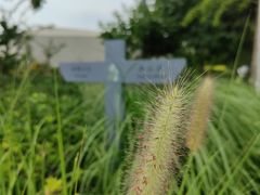 -北京周口店北京人遗址博物馆