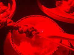 -爱啤精酿·民谣酒馆(滨江店)