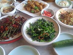 -大家乐东北菜(富河园店)