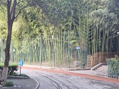 -西安市长乐公园