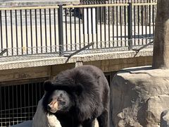 -石家庄市动物园