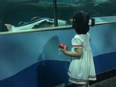 -苏州海洋馆