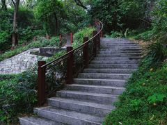 -燕晗山郊野公园