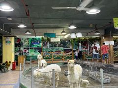 -上海大自然野生昆虫馆(东方明珠·爬宠昆虫探索中心)