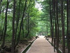 -洛阳白云山景区