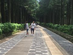 -汉拿树木园