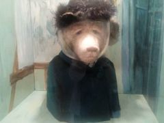 android_upload_pic-济州岛泰迪熊博物馆