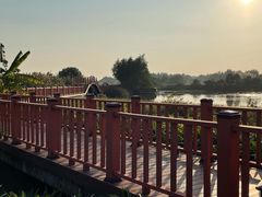 -芒洲湿地公园