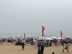 -日照海滨国家森林公园