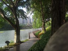 -重庆彩云湖湿地公园