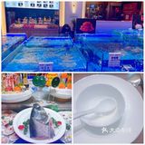 【鸽子张·家宴】美食大揭秘