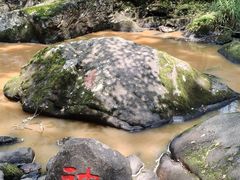 -茅兰沟国家森林公园