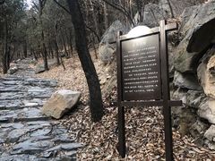 -阳台山自然风景区