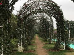 -广州花之恋城堡酒店