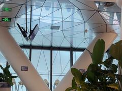 -贝林大翅鲸简餐厅(国家海洋博物馆店)