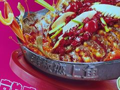 -老板恋上鱼(恒隆广场店)