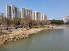 -南翔镇银翔湖公园
