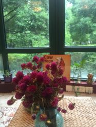 -Union瑜伽健康管理中心