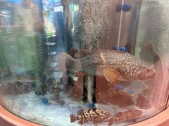 -海底捞大排档火锅(打浦路店)