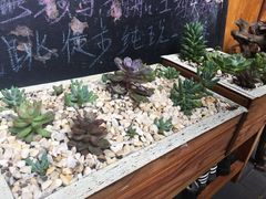 -五花石之旅客栈