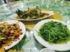 -四姑娘川味海鲜(八爪鱼店)