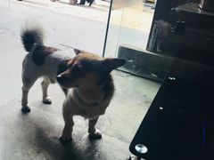 -长兴菜馆(高桥店)