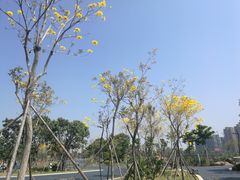 -琅岐红光湖公园