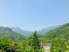 -四川省成都市彭州市白鹿镇